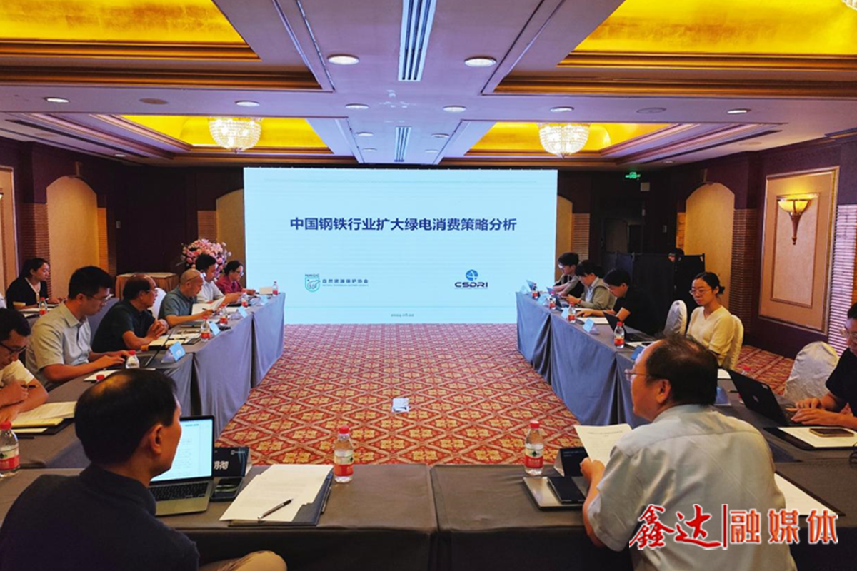 如何更好利用綠電這一減碳利器？——“中國鋼鐵行業(yè)擴(kuò)大綠電消費(fèi)策略分析”研討會側(cè)記